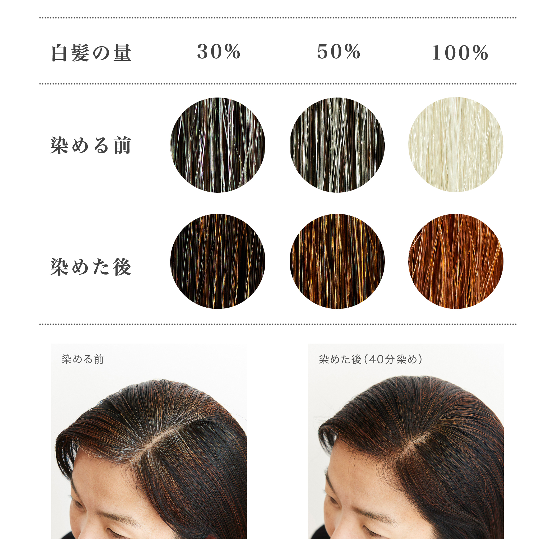 https://nara.hands.net/item/4ede346450d44878eab998330eca22ed906a08c0.jpg