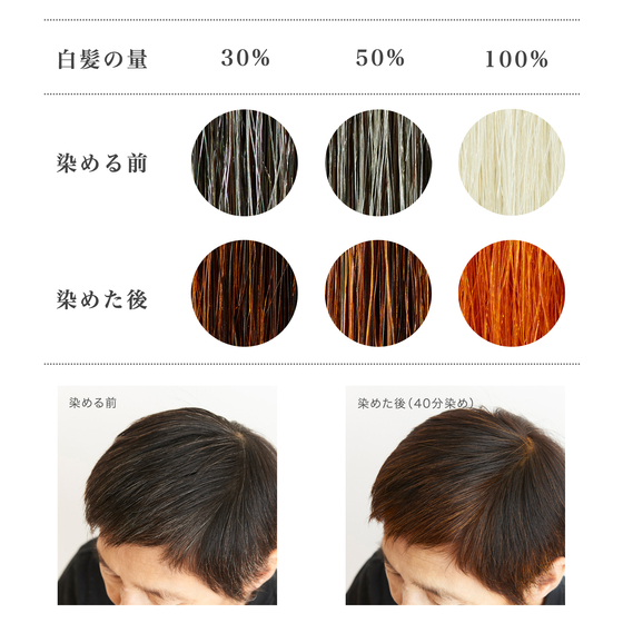 【ヘナイメージ画像】Before_After_毛束_モデル_no1_ヘナ100(no2ハーブも仕上がりは同じです).jpg