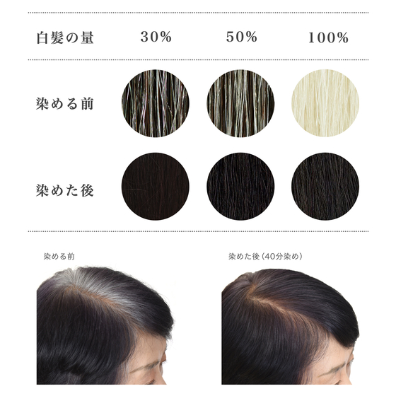 【ヘナイメージ画像】Before_After_毛束_モデル_no5_黒.jpg